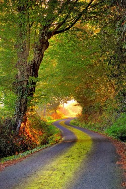 Ponderation:  Power Of Nature By Philippe Manguin  