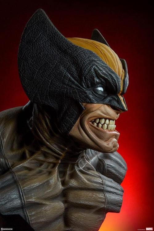 haxanbelial:  Wolverine life-size bust by porn pictures