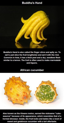 Fuckingrecipes:  Veganbutt:  Squigglydigg:  Imsopopfly:  Wow I Like Weird Fruits