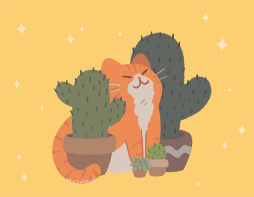 mussyhead:cat friends