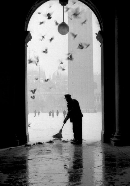 Gustavo Millozzi :: Colombi e neve / Doves and Snow, Venice, 1960