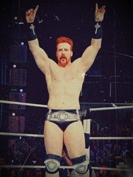 1994falloutboy:  Favorite pictures of Sheamus in his ring gear :3