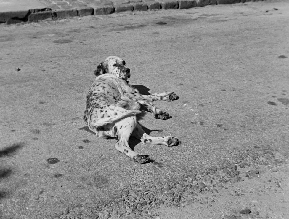 Les vacances de Monsieur Hulot (Jacques Tati, 1953)