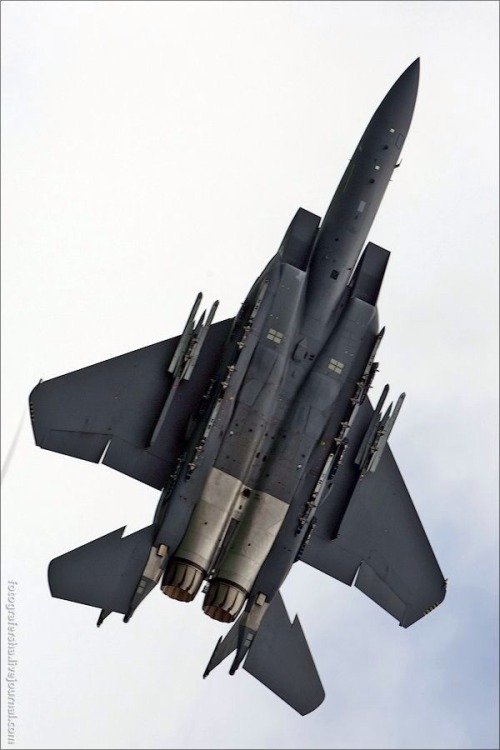 rocketman-inc:  F-15 belly of the dragon