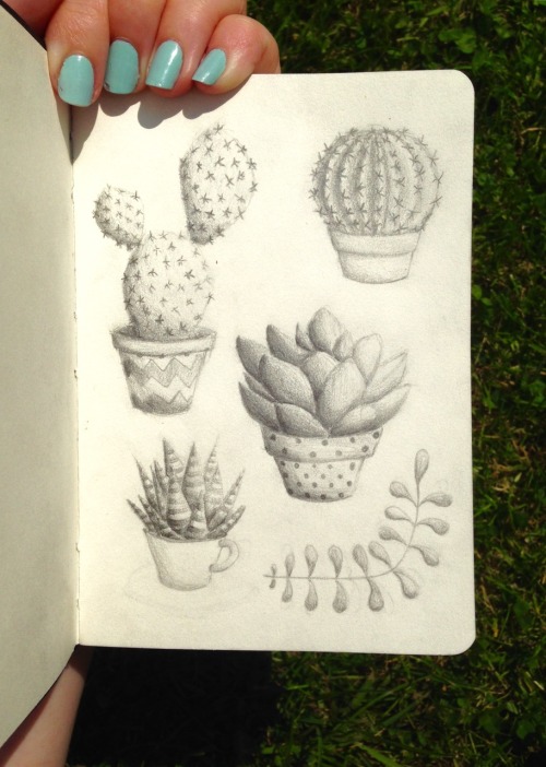 doodleific:  Drawing succulents in the sunshine :)