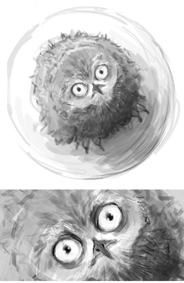 emmahay:  Owl Shop. (Or, when Harry found Hegwig’s successor - before it could