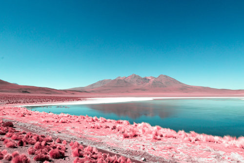 deadmugen - nevver - Infrared Lake, Paolo Pettigiani