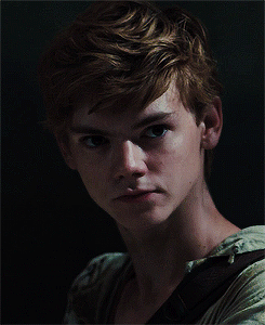 Get To Know Me: Favorite Male Characters (11/50) ↳ Newt (The Maze Runner || The Scorch Trials)