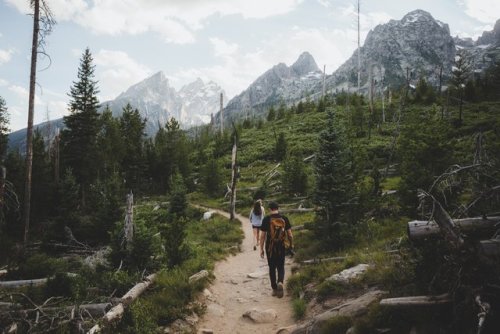 Summer ‘17Grand Teton National Park, Wyoming.twitter / instagram