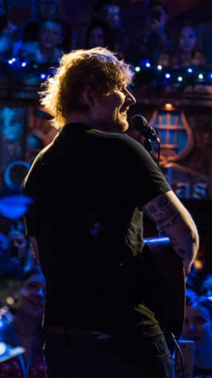 sheeriouslysheerio:H O L Y S H I T Mm. What a nice side profile.