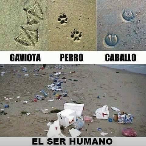 jaidefinichon:  aprendan cabros 
