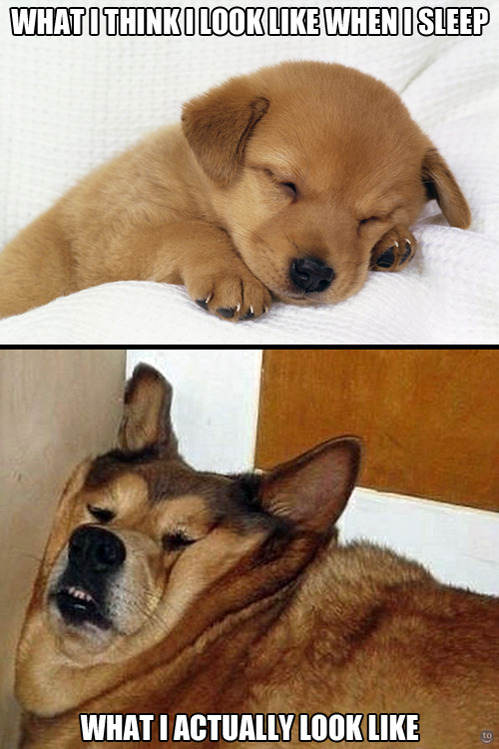 tastefullyoffensive:  [via]