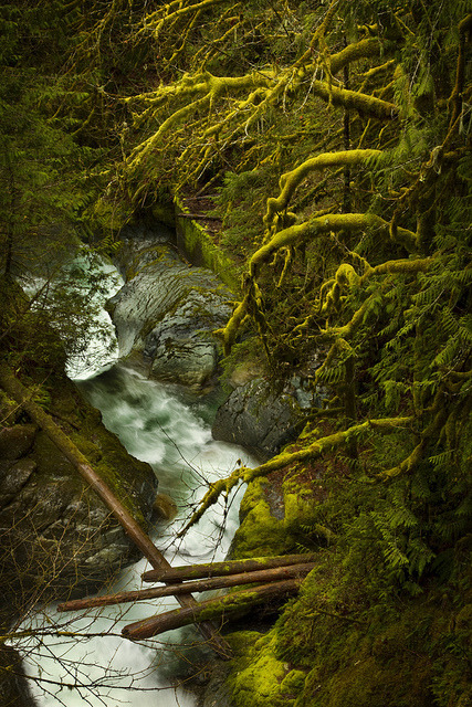 oculi-ds:  Bridge over Beauty two by PatT&amp;5 on Flickr.