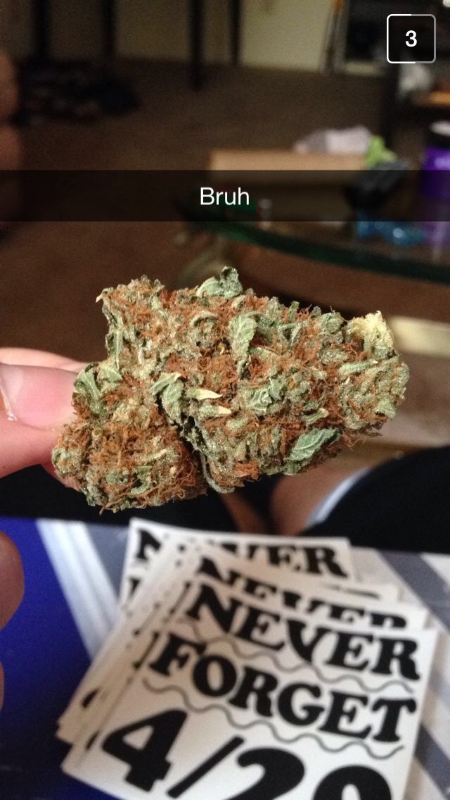 mrs-420:  Can’t remember who sent me this snap, but that’s a dank ass nug :)