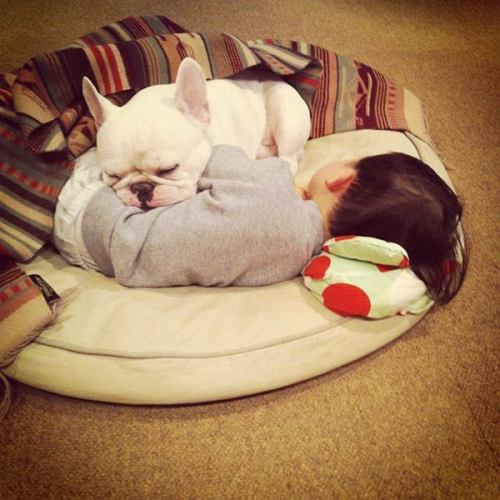 XXX  Cute Friendship Between Boy & His Bulldog photo