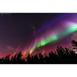 A Flag Shaped Aurora over Sweden #nasa #apod