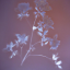everythingbluehere