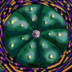 fairy on acid