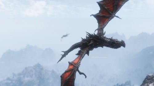 dragonborn-adventures:  Alduin and Paarthurnax 