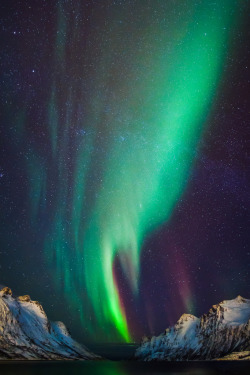 magicalnaturetour:  Northern Lights (by Ronel Reyes) 