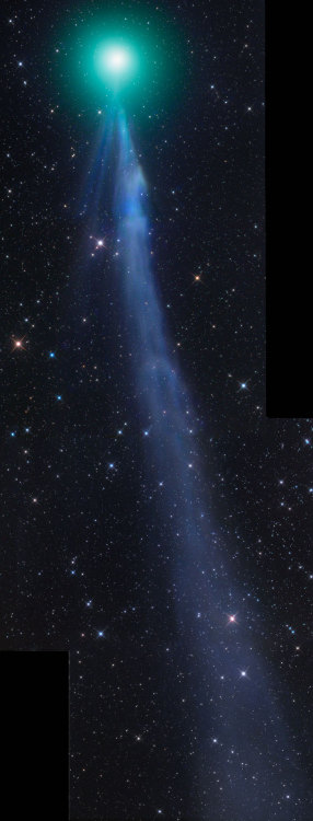 Comet Lovejoy by Gerald Rhemann. js