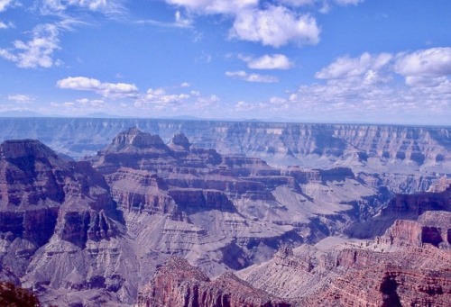 Grand Canyon from the North Rim, Arizona, 1977.