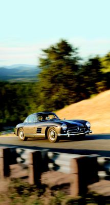 thechicane:  Gullwing. 