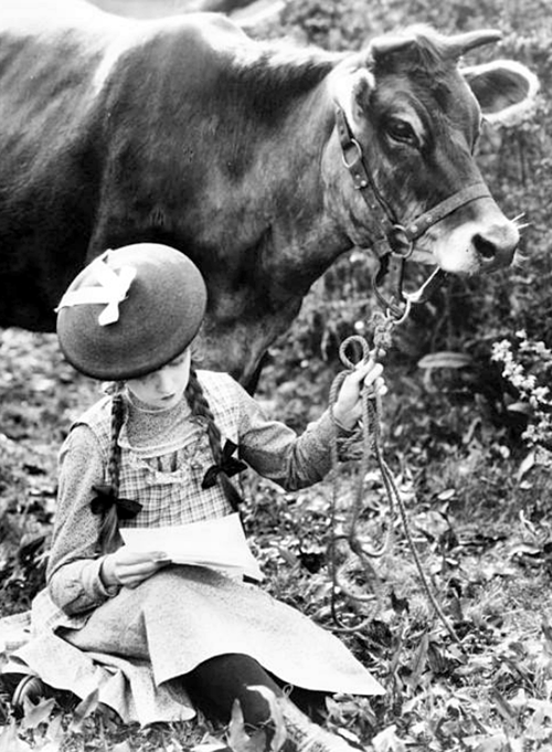 kitty-packard:  Lillian Gish in a scene from D.W. Griffith’s ‘True Heart Susie.’  