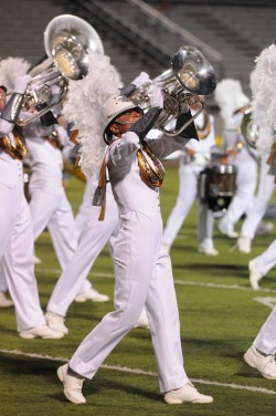 hornhoss:  Phantom Regiment 2008: Spartacus