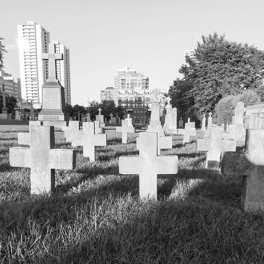 vacaseca:  St. Michael’s Cemetery #toronto #cemetery #crosses #sunnyday #blackandwhite