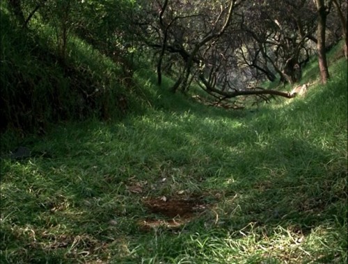 Veneno para las hadas/ Carlos Enrique Taboada/ 1985