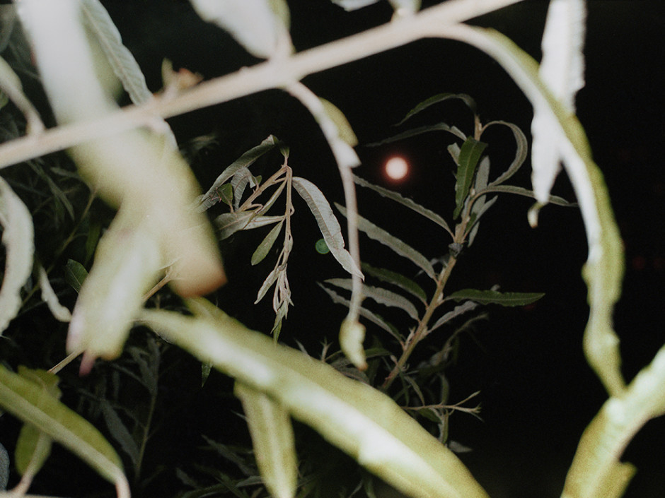 untrustyou:  Olga Matveeva