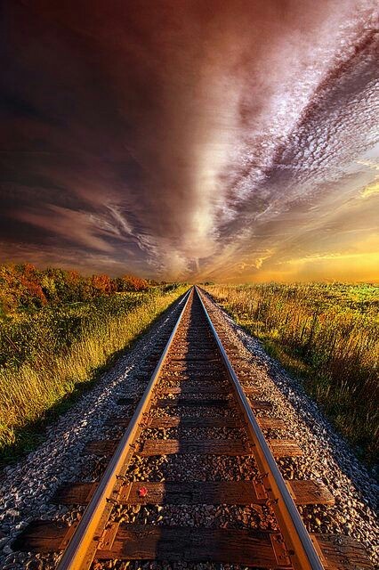 orchidaaorchid: Walking the Line Till the Morning Shines by Phil~Koch on Flickr.