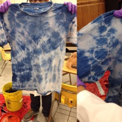 This week in Chembio Lab:  indican ➝ indoxyl ➝ indoxyl• ➝ leucoindigo ➝ indigo dye ⇉ 👕 #science #plasmidsonmysleeve