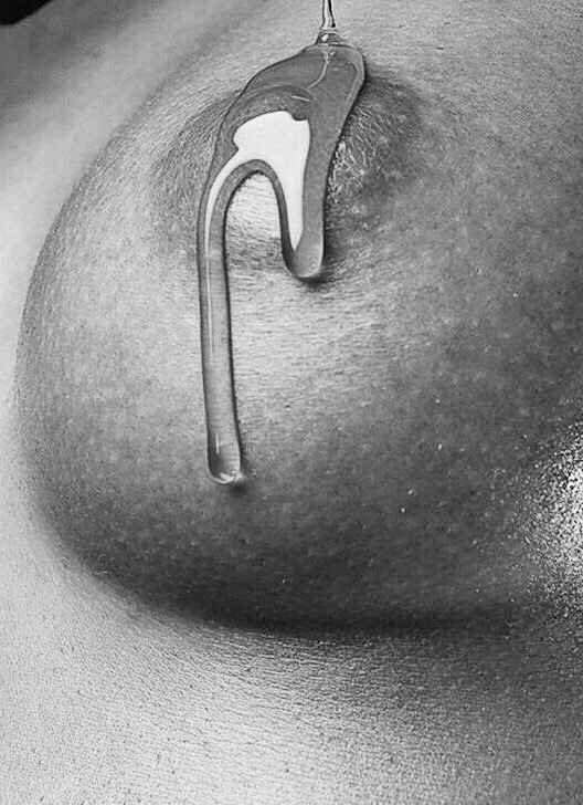 Quello che cerchi
