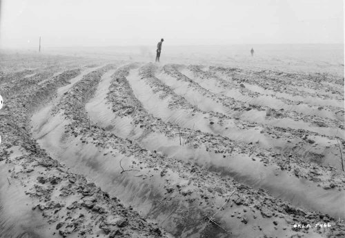 plantyhamchuk:Soil Erosion by Wind“Wind also causes much soil erosion. When the wind blows acr