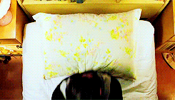  GET TO KNOW ME MEME: 5 favourite movies [2/5]↳ Hairspray (2007) - “Yesterday