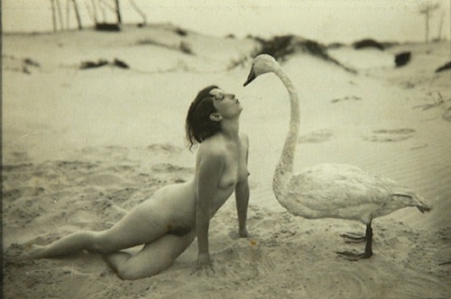 naked-yogi:  acetylene-eyes:   Marcel Meys - Leda and the Swan (1920) I have a very long list of scholarly essays I have half a mind to write. I know I’ll never write them but I think the concept is vital enough that someone should write about it–even