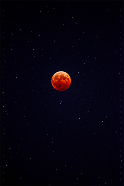 etherealvistas:  Blood Moon eclipse Oct 8 2014