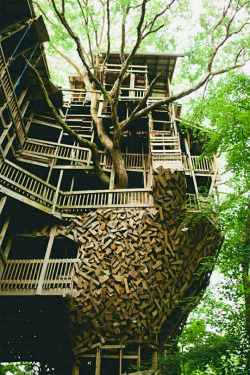 livingpursuit:  Treehouse in   Crossville,