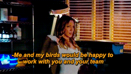 saraisthebest:BirthdayForDaisy - day 5↳ other superheroes/au - Black Canary