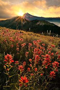 wonderous-world:  Mt Jefferson, Oregon, USA