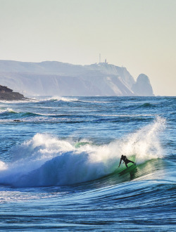 surf4living:  line drawing ph: pedro mestre