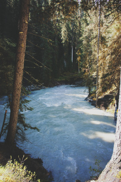 i-doll:  2106; day six i | banff → jasper; via icefields parkway | johnston canyon 