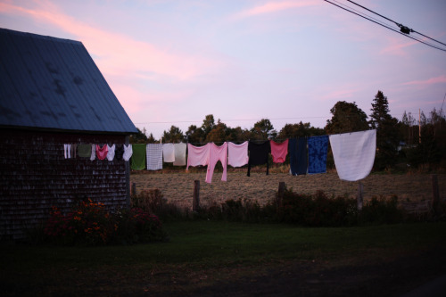 sickpage: Steve Skaftedreams hung out to dry, 2013