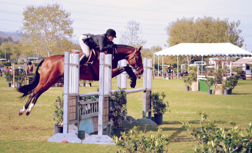 blenheim spring classic II, 2013.