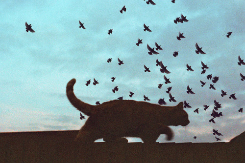 Untitled by Maya Beano