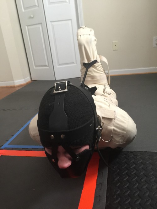 tallglassofoj: @armypup86 needed a “study buddy” which was code for “I’m going to keep you strapped into your canvas straitjacket suit all day and there’s nothing you can do about it”.  Not pictured: the orange jumpsuit I was forced to