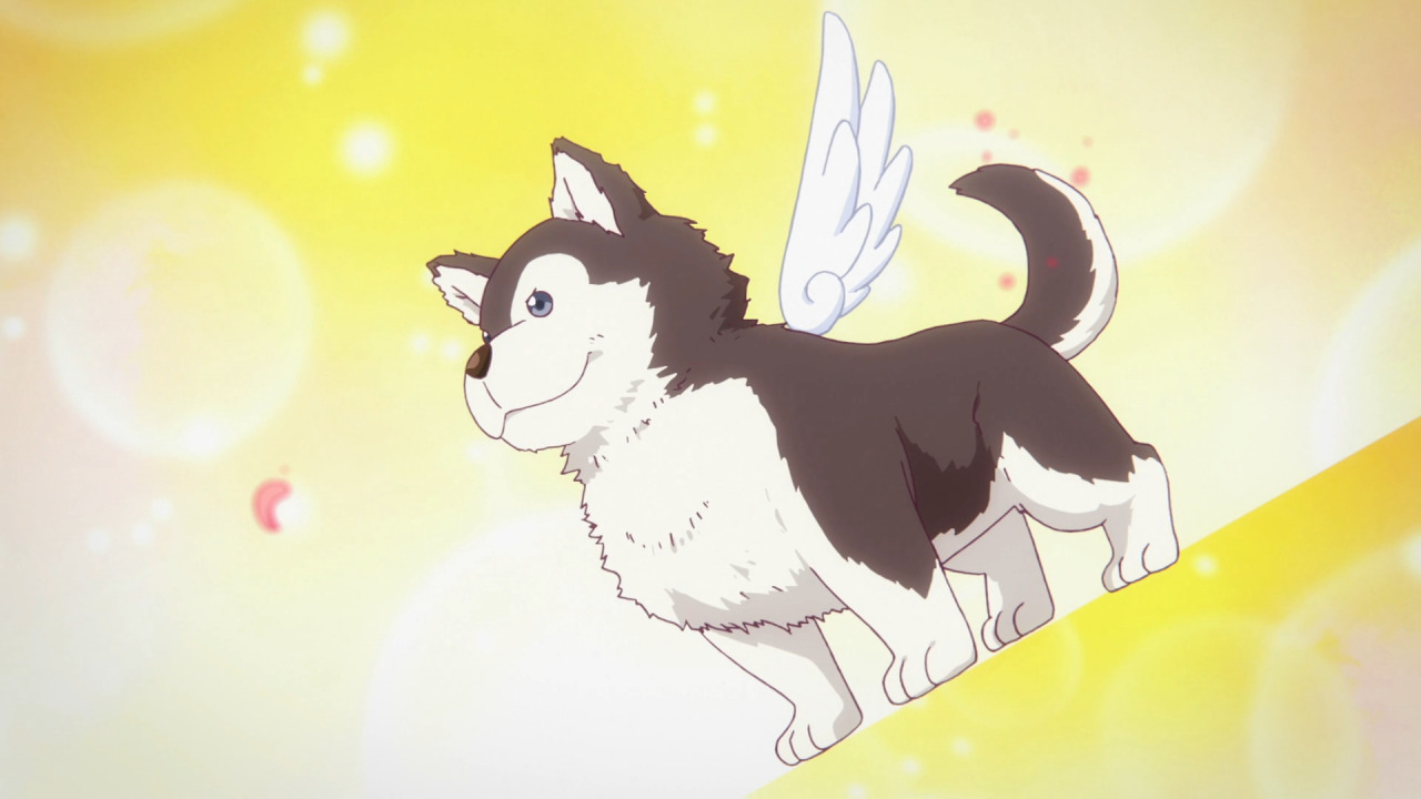Ichijo Haruhiko Tumblr Posts Tumbral Com Ichijo Haruhiko Tumblr Posts Tumbral Com