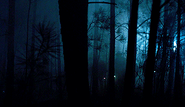 joewright:Stranger Things ► S1: Chapter One: The Vanishing Of Will Byers “Something is coming. Somet